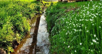 Chalet en pleine nature, proche Gérardmer et Alsace