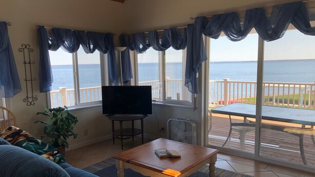 Smart TV, fireplace, DVD player, books