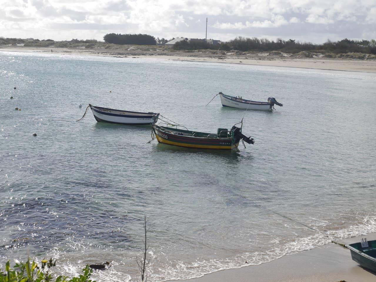 Tres embarcaciones sobre aguas tranquilas, cerca de una playa arenosa con vegetación escasa al fondo.