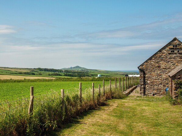 A stone building with a thatched roof, a narrow path leading to it, and a fenced field in the foreground.