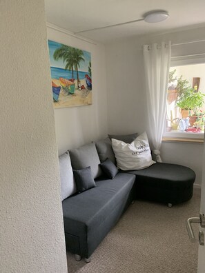 Fernseher, Kamin