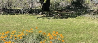 Serene and Quiet County Cottage Near HWY 50