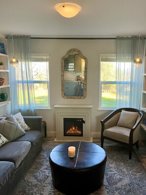 TV connectée, cheminée, lecteur de DVD, livres