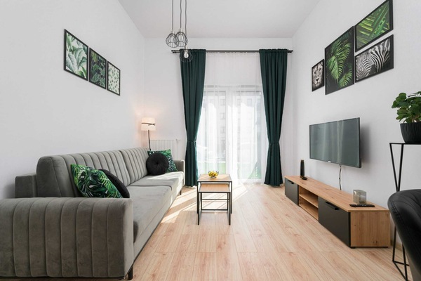 A living room featuring a dark gray sofa, a coffee table, and a TV. Indoor plants and bright lighting create a welcoming ambiance.
