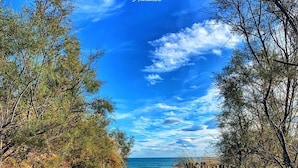 A sandy beach path flanked by wooden fences leading to the sea under a clear blue sky. - Renovated Boho Studio ☀ Pool | Beach | Queen-size bed (La Grande Motte)