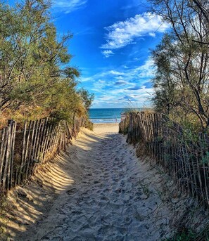 A sandy beach path flanked by wooden fences leading to the sea under a clear blue sky.