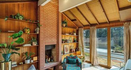 Capitol Cabin! Designer Home w/ Soaring Windows