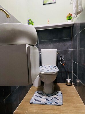 Douche, serviettes fournies, papier toilette