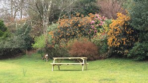 A park with a wooden bench, yellow daffodils, and dense shrubbery.