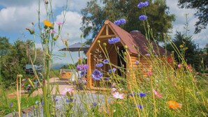 A wooden cabin with a sloped roof surrounded by a variety of wildflowers and greenery. - Dol y Mynydd (The Mountain Meadow)-QU7521 (Abergele)