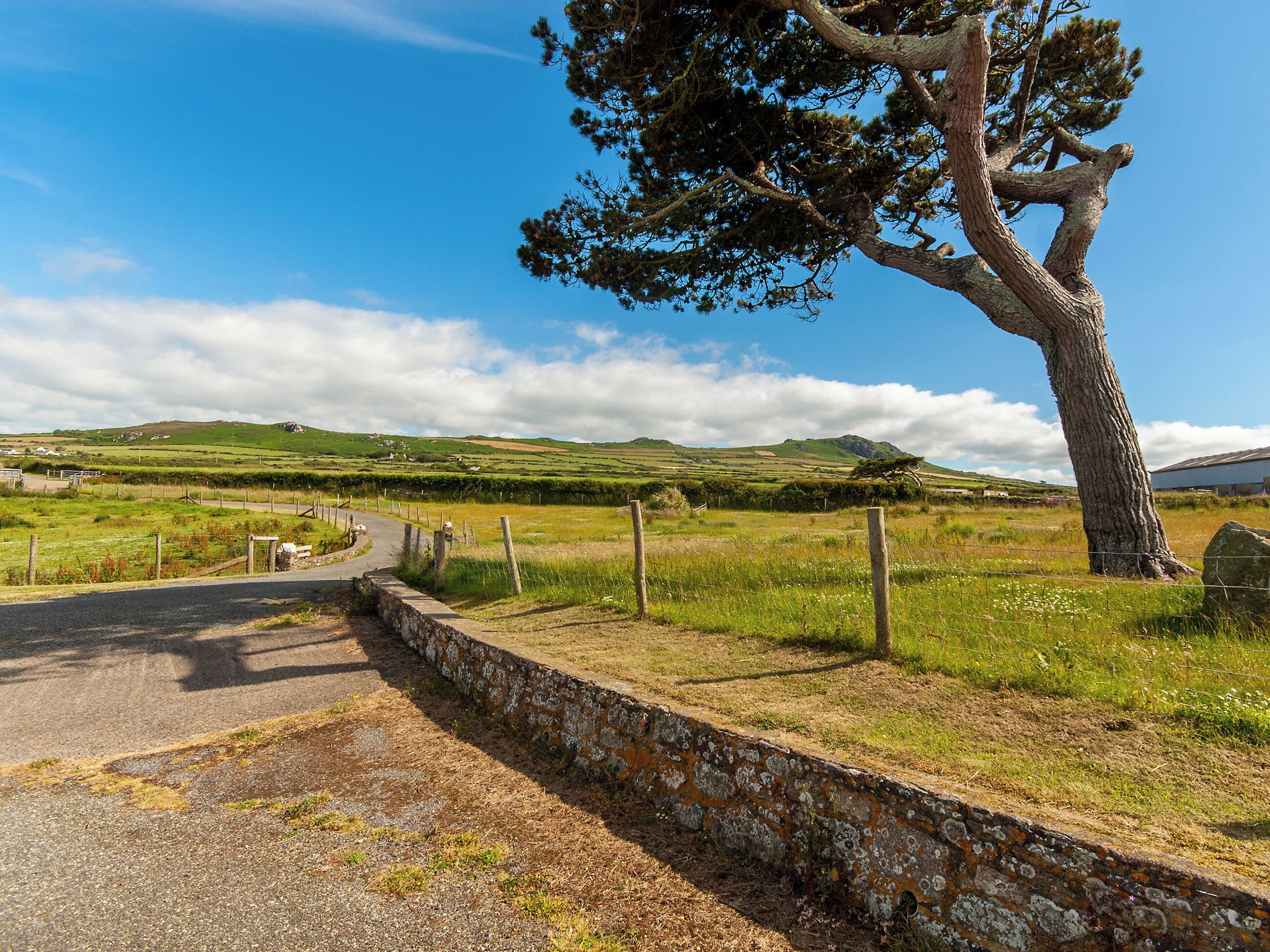 Une route de campagne bordée d’un mur de pierres et d’un arbre sur la droite.