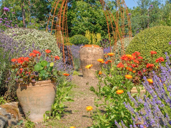 المنطقة المحيطة بالمنشأة