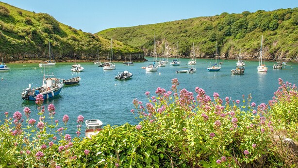 A coastal bay with numerous boats anchored in calm waters, surrounded by lush green hills. - 3 bedroom accommodation in Cerbid (Cerbid)