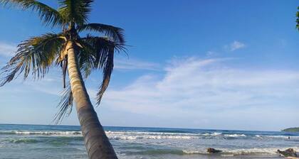 Hotel Boutique D Angelo