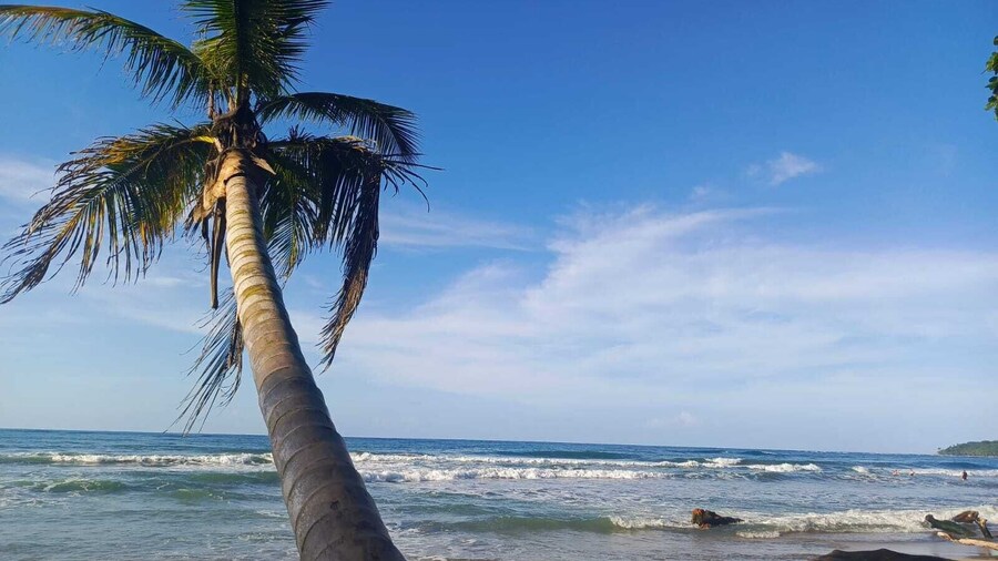 Hotel Boutique D Angelo