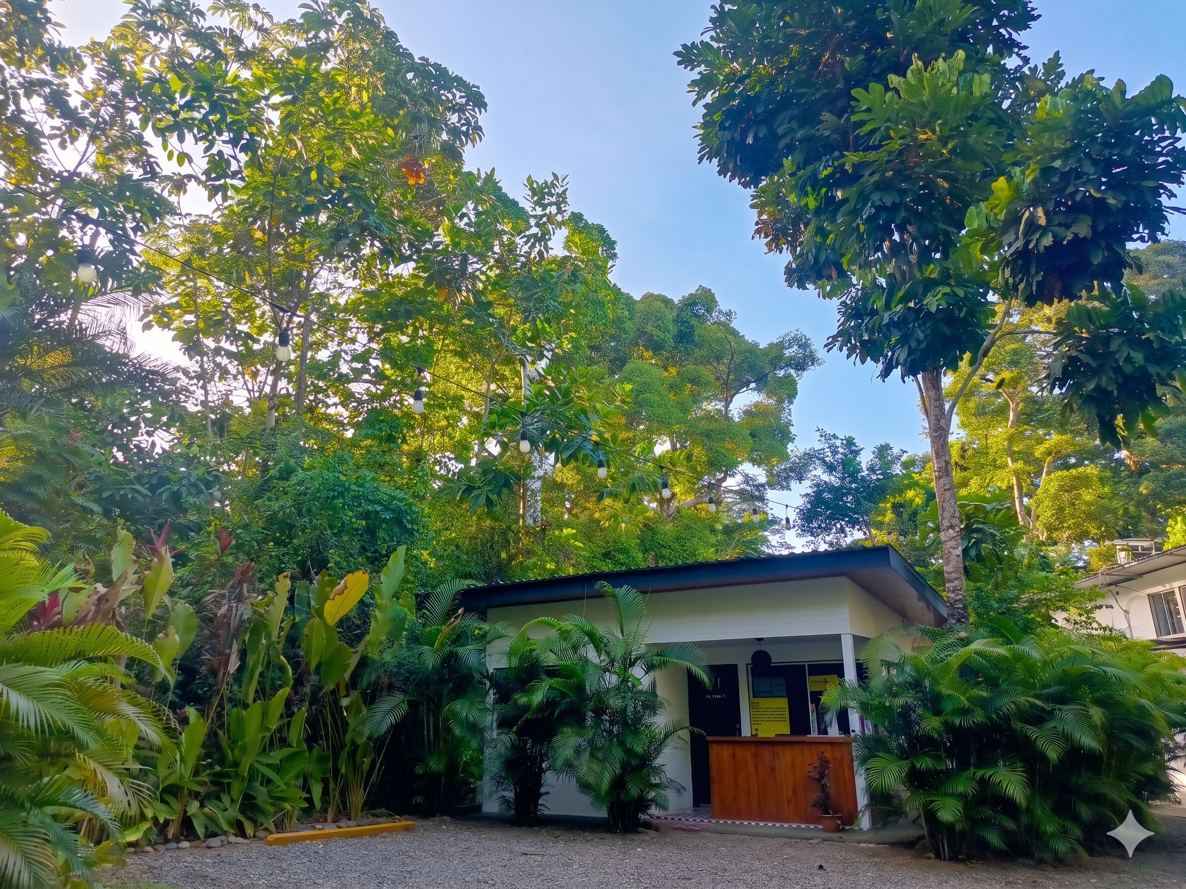 Un edificio con fachada de madera y camino de entrada de grava, rodeado de exuberante follaje tropical.