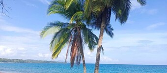 Hotel Boutique D Angelo