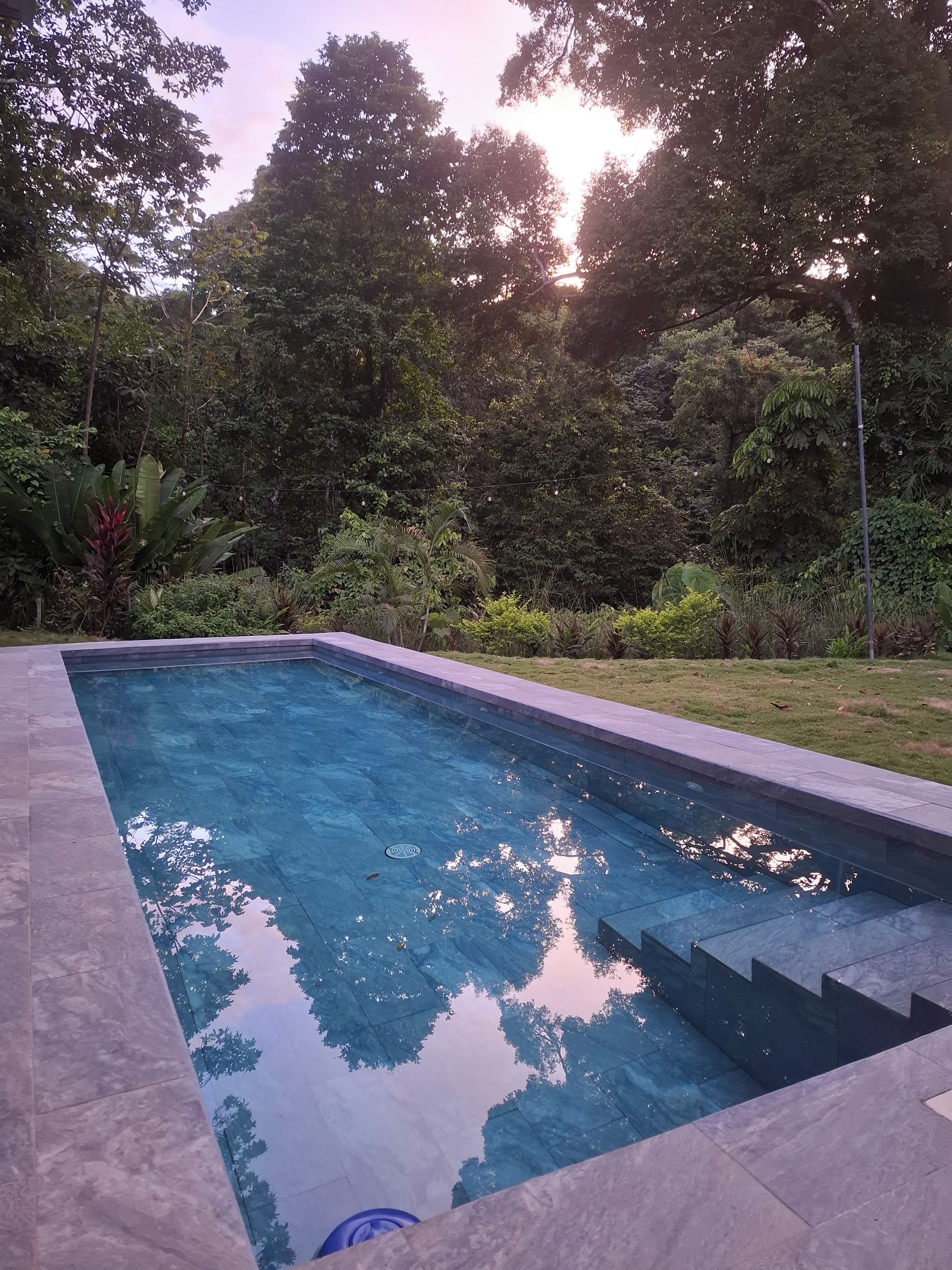 A rectangular swimming pool with clear water, surrounded by a tiled deck and lush greenery.