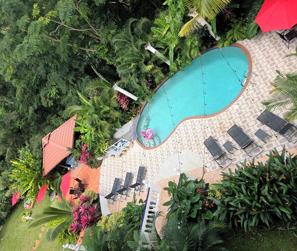 An aerial view of a pool area with lounge chairs, a swimming pool, and surrounding greenery. - Your Private Slice of Paradise! (Luquillo)