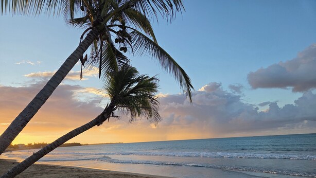 A beach with a palm tree, ocean, and sunset. - Your Private Slice of Paradise! (Luquillo)