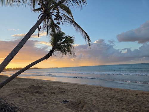 Your Private Slice of Paradise!