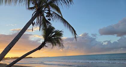 Your Private Slice of Paradise!