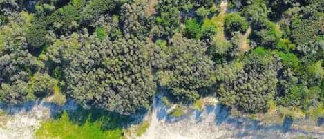 Am Strand, Liegestühle, Strandtücher