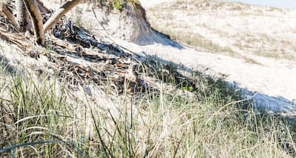 Castaways Beach house Noosa.Beachfront,pool,tennis