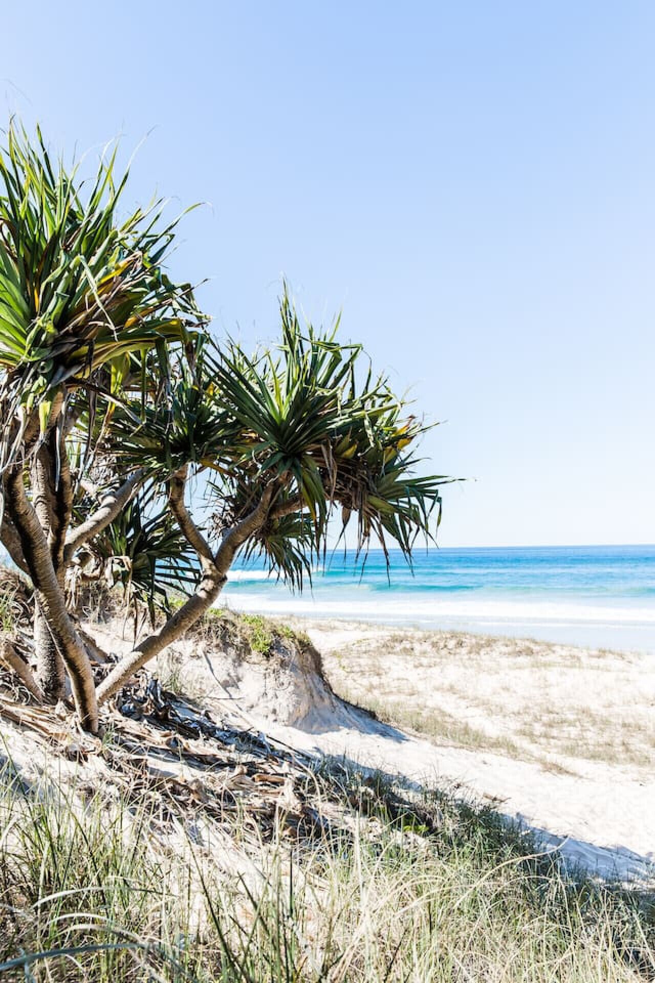 On the beach, sun-loungers, beach towels