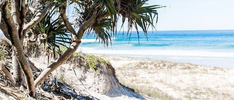 Plage, chaises longues, serviettes de plage