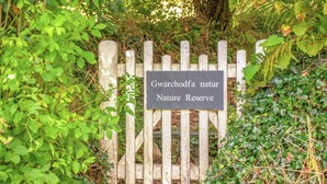 Ein hölzernes Tor mit einem Schild, auf dem 'Gwrchodfa natur Nature Reserve' steht.