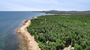 A coastal forest area with a beach and a road leading through it.