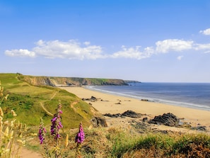 A coastal landscape with a sandy beach, grassy cliffs, and purple flowers in the foreground.