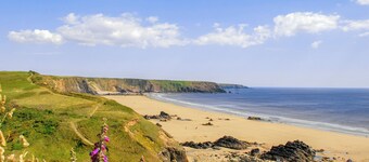 Lower Bushford Cottage