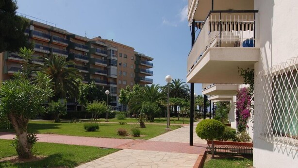 A courtyard with a stone pathway, palm trees, and a building with balconies.