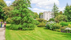 Ein gepflegter Garten mit verschiedenen Bäumen und Sträuchern, einem deutlichen Weg und einem großen Gebäude im Hintergrund.