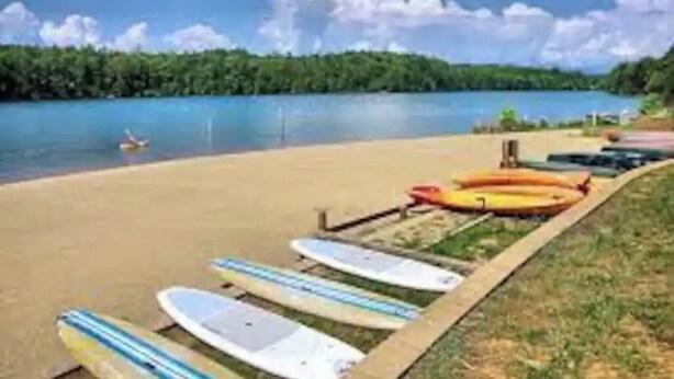 A beach with kayaks lined up on the sand and a person paddling in the water.