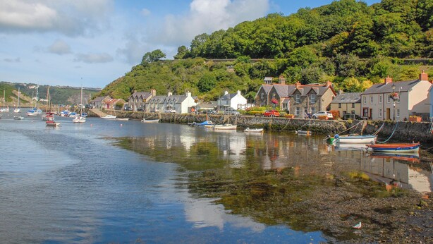 A coastal town with houses along the water, boats docked, and a hill with greenery in the background. - 3 bedroom accommodation in St Davids (St Davids)