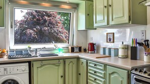 Une cuisine avec des meubles de couleur verte, une fenêtre donnant sur des arbres, un lave-linge et une bouilloire.