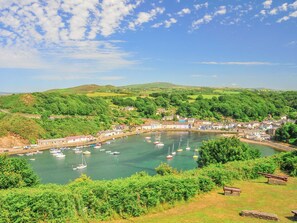 Marina - Carreg yr Eos - cottage (Fishguard)