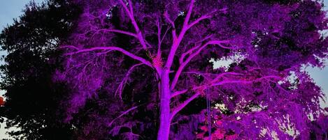 Außenpool, beheizter Pool