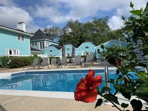 Pool - Palm Tree Room - Pool, Hot Tub, Sauna, Spa (Rehoboth Beach)