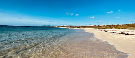 Camastros y toallas de playa