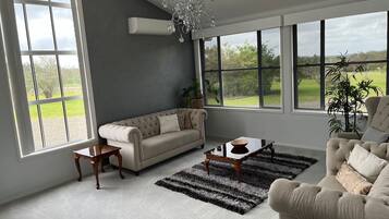 Smart TV, fireplace, DVD player, table football