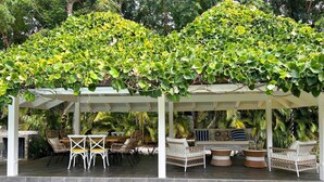 Un área de estar al aire libre techada con mobiliario de mimbre y una pérgola con plantas trepadoras.