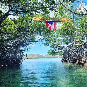 Miscellaneous - High Tide Guesthouse La Parguera, PR (Lajas)