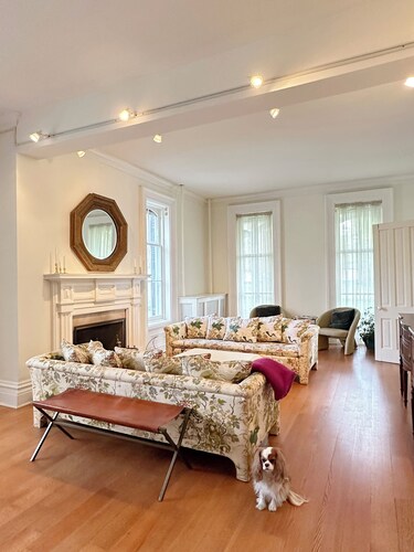 Breathtaking Historic Home minutes from Notre Dame