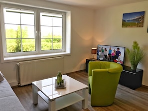 A living room with a large window, a flat-screen TV, a green armchair, a small table with a cactus, and a radiator. - Apartments at Hochzeitsberg 5 - Apartment "Fjords" - Hochzeitsberg in (Breege)