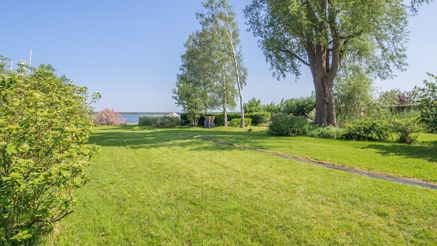 Ein gepflegter Rasen mit einem großen Baum und freiem Blick auf das Wasser im Hintergrund.