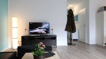 Televisión, reproductor de DVD y estéreo